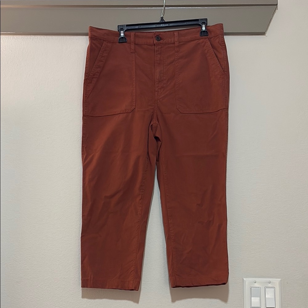 Madewell Stovepipe Fatigue Pants Tencel Lyocell Edition SZ 31 EUC - Picture 4 of 8